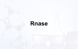 RNase