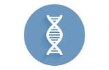 Ultra-fast DNA library preparation kits for Illumina® - Transposase