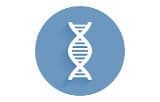 Ultra-fast DNA library preparation kits for Illumina® - Transposase