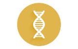 DNA library preparation kits for Illumina® - Physical shearing