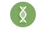 DNA library preparation kits for Illumina® - Enzymatic fragmentation