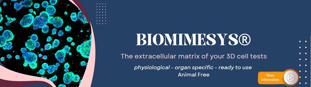 The extracellular matrix of your 3D cell tests