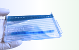Electrophoresis