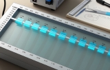 Molecular weight ladders