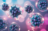 Tumor derived primary cells