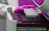 Mycoplasma Detection Kits - Conventional PCR