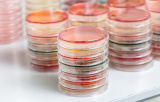 Non-selective media for microbiology
