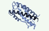 Peptide libraries
