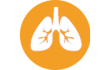 In situ hybridization probes - Pulmonary pathology