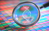 Targeted sequencing