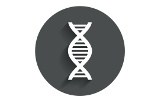 DNA polymérases for difficult templates