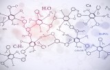 Amino Acids for cell culture