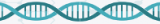 qPCR for Human Papillomavirus (HPV)