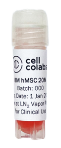 Mesenchymal stem cells