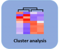 Cluster Analysis