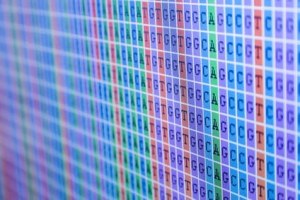 Sanger Sequencing cleanup