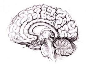 Histone H3 K27M in Gliomas