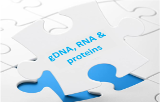 Simultaneous purification of gDNA, RNA and proteins