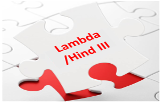Lambda/Hind III