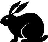 Cytokeratin 4 (KRT4) Rabbit mAb