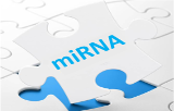 miRNA