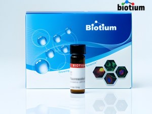 Tools for Cell Viability and Apoptosis Detection