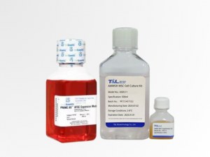 Advancing Cell and Gene Therapy with Optimized Culture Media