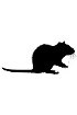 ABC detection kits - Anti-Rat IgG