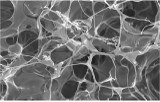 3D scaffold for tumor cells