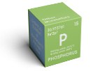 Phosphorus 32 radiolabeled compounds