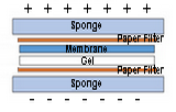 Blotting Paper