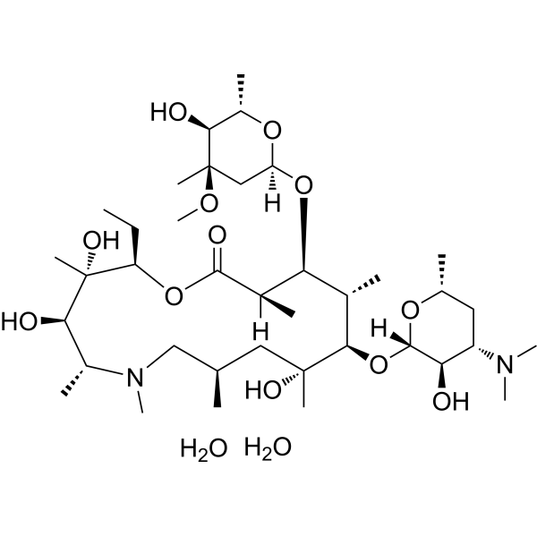 Azithromycin 1000