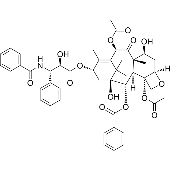 Paclitaxel Chemische Struktur