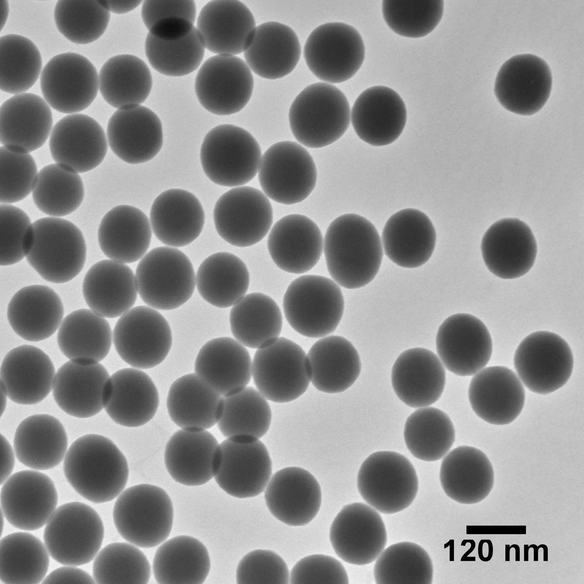 NanoXact Silica Nanospheres (Dried)