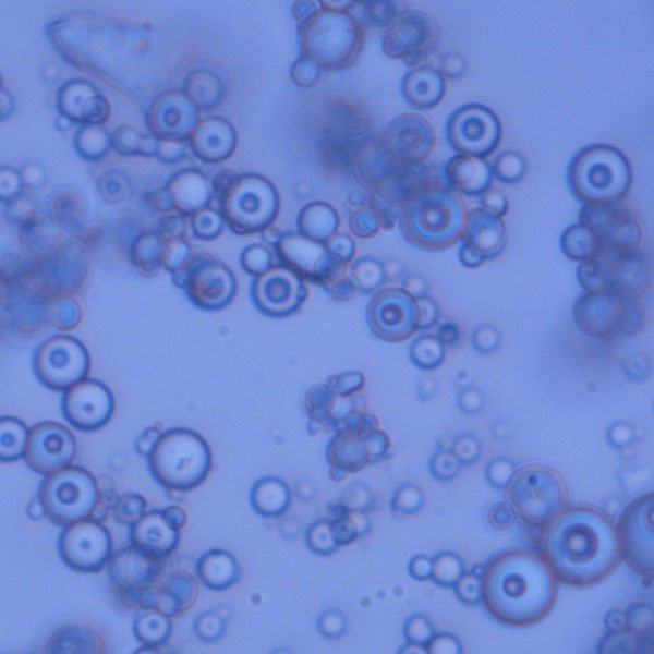 Glass Beads (30 - 50μm) - Polysciences