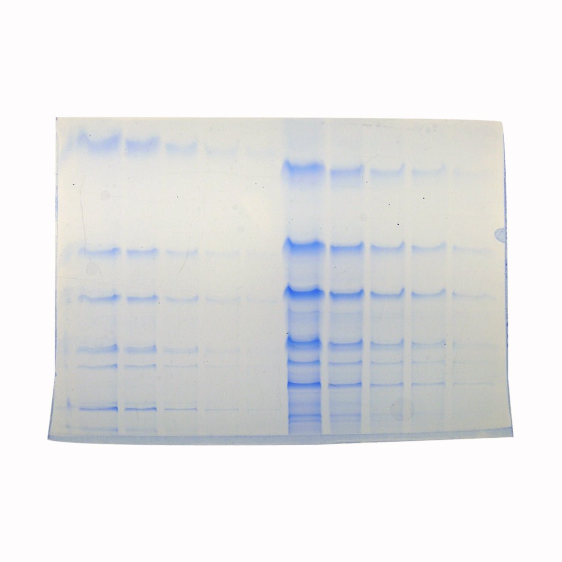 Coomassie® Blue G250, C.I. 42655 - Polysciences