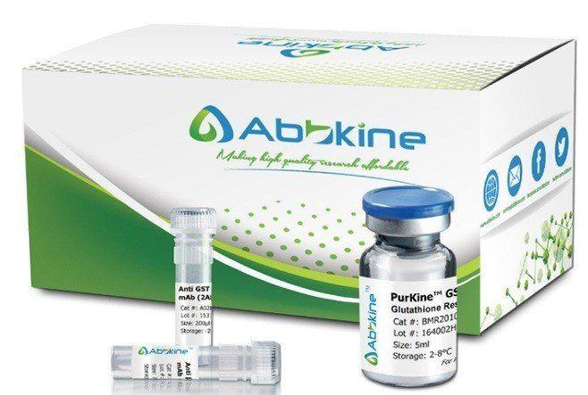 Fig.1. Abbkine PurKine™ is series of unique purification portfolio from settled resin, prepacked spin columns and full kits for your most types of sample purification and preparation.