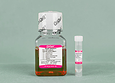 Fetal Neural Stem Cell Complete Medium (Serum-free)