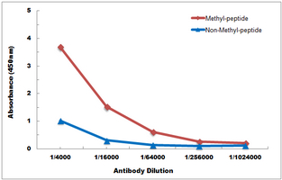 Direct ELISA antibody dose-response curve using Anti-Histone H3 (MonoMethyl-K56) Antibody. Antigen (methyl-peptide and non-methyl-peptide) concentration is 5 ug/ml. Goat Anti-Rabbit IgG (H&L) - HRP was used as the secondary antibody, and signal was developed by TMB substrate.