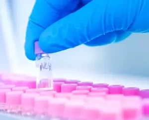 DNA Cloning