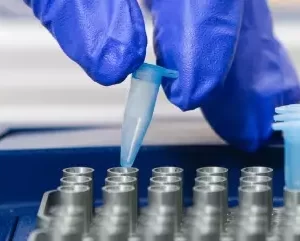 qPCR