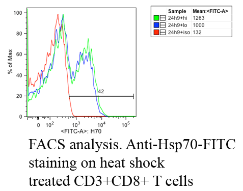 Anti-HSP70 Monoclonal Antibody (Clone : C92F3A-5) - FITC