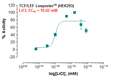 TCF/LEF Leeporter™ Luciferase Reporter-HEK293 Cell Line