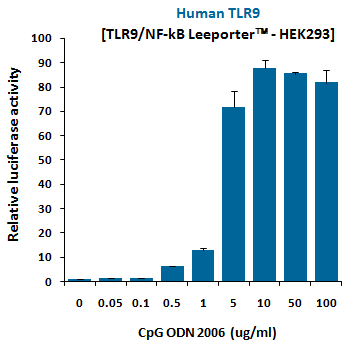 CpG ODN (2006), TLR9 ligand (Class B)