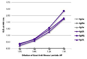 Goat Anti-Mouse Lambda-AP