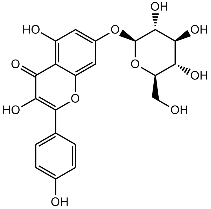 Kaempferol-7-O-   β-D-glucopyranoside