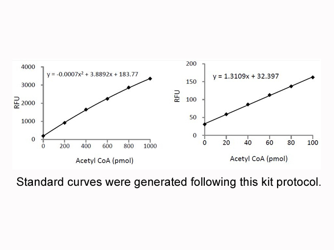 Acetyl-CoA Fluorometric Assay Kit