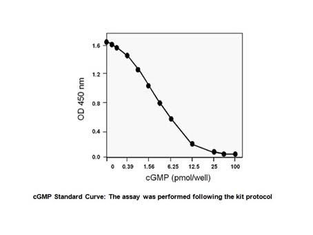 cGMP Direct Immunoassay Kit (Colorimetric)