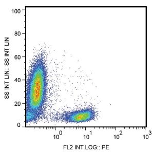 Human peripheral blood leukocytes