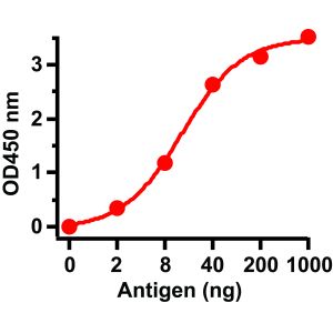 ELISA Test